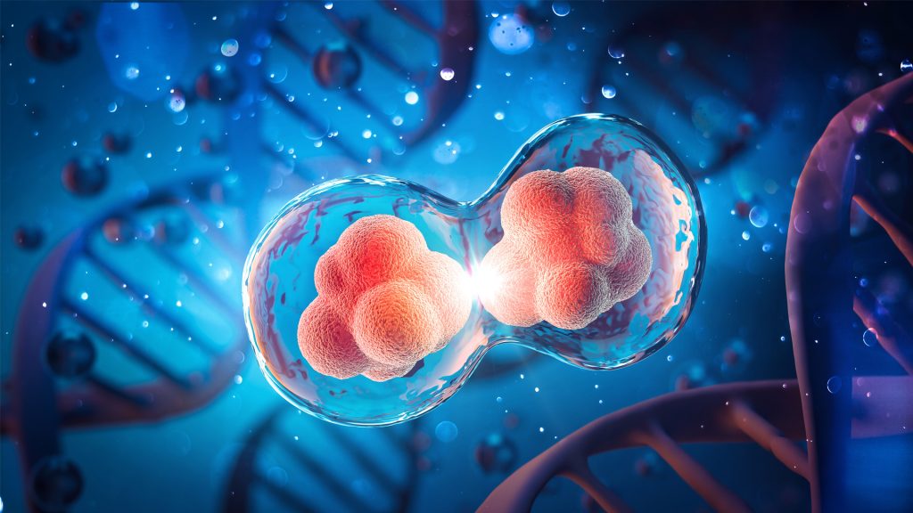 Beattie Melinek - Technical developments towards commercialisation of a novel Cell-Free pDNA production platform